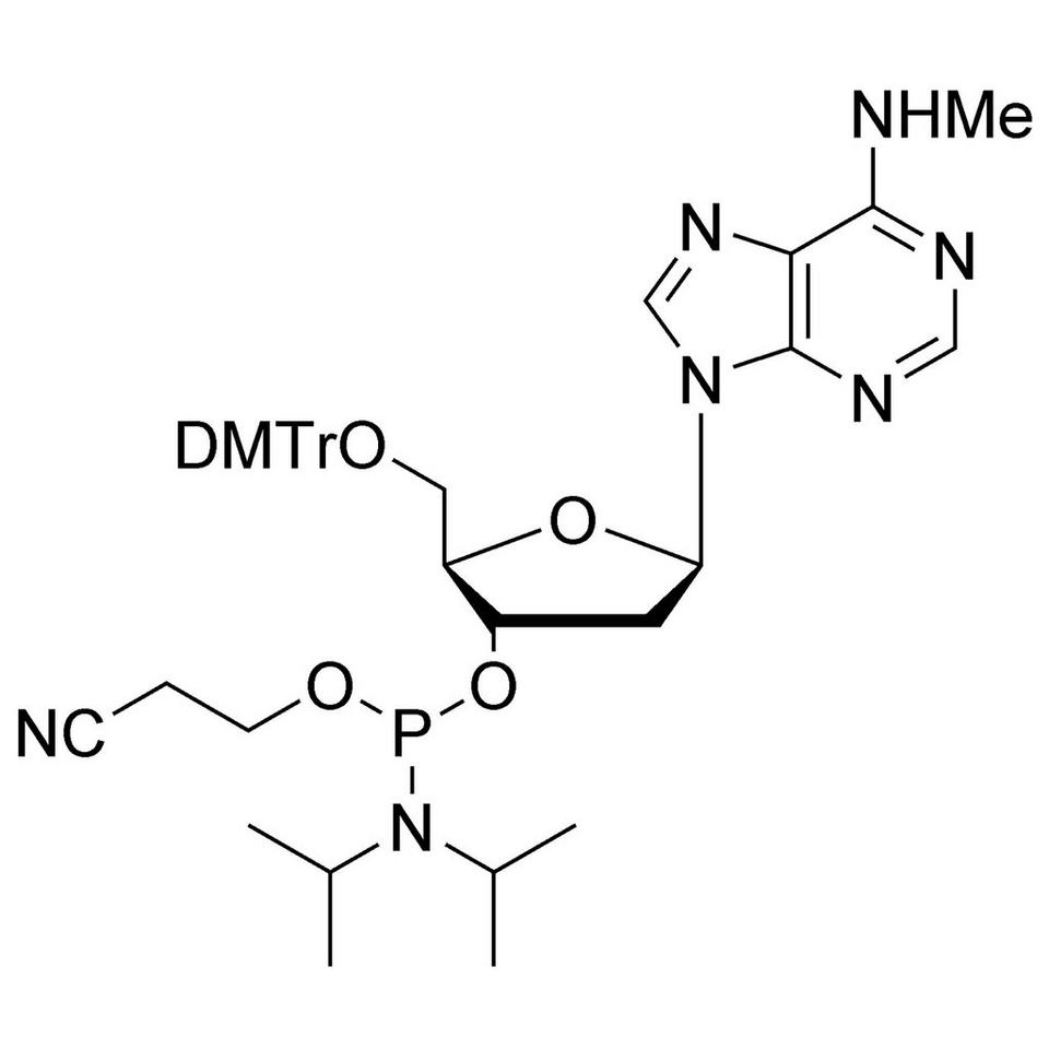 N6-Me-dA CE-Phosphoramidite